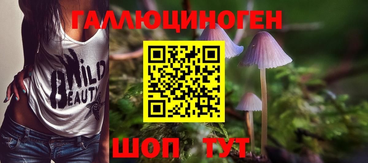 Галлюциногенные грибы GOLDEN TEACHER Урай